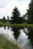 Golfov� turnaj Vlastn� cesta